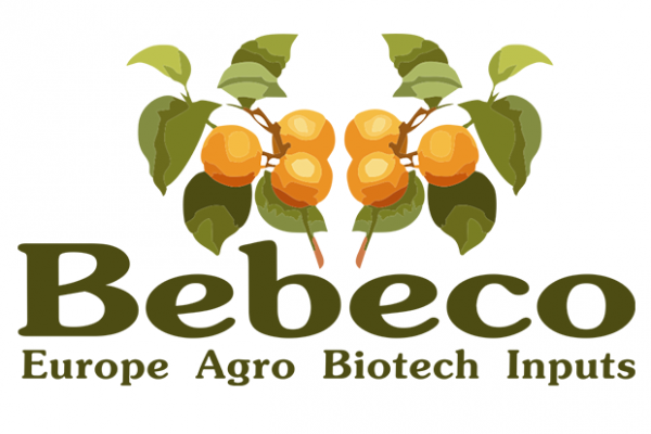 Bebeco ltd