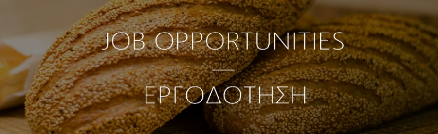 Εργοδότηση