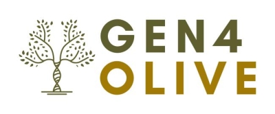 GEN4OLIVE - Β κύκλος